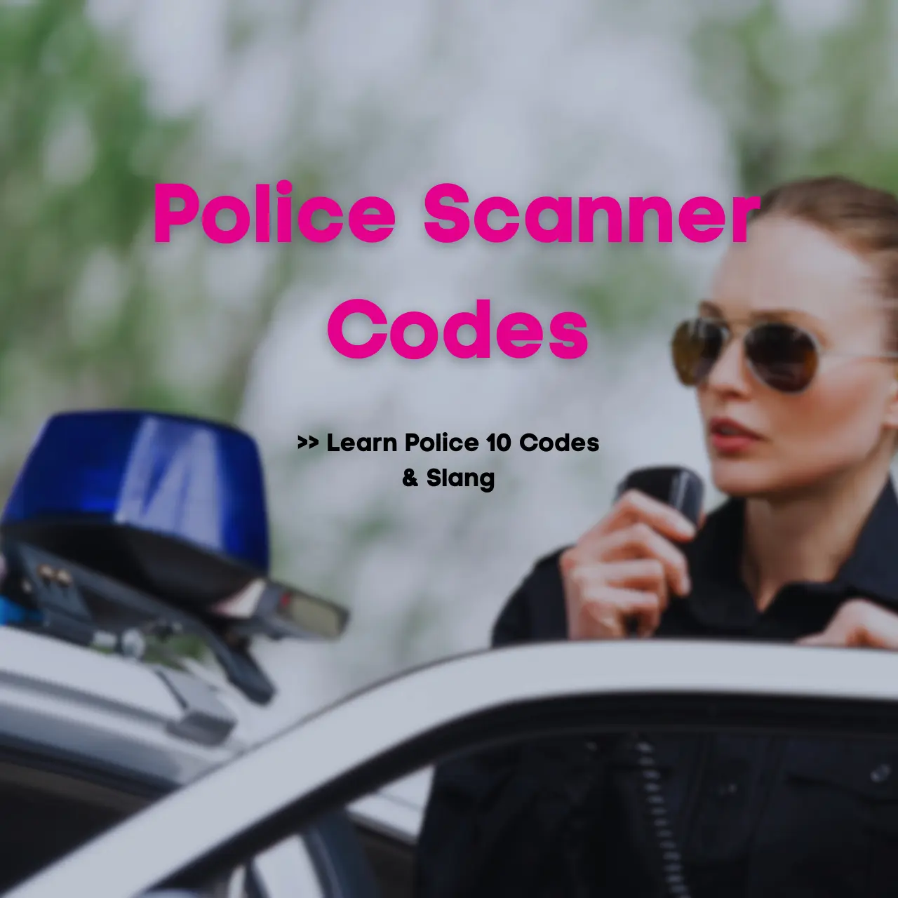 Police 10 Codes (Ten Codes) for Law Enforcement Radio